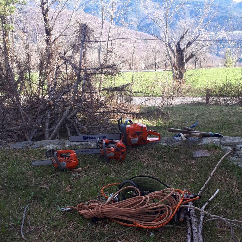 Élagueur à Frontignan Élagueur à Frontignan